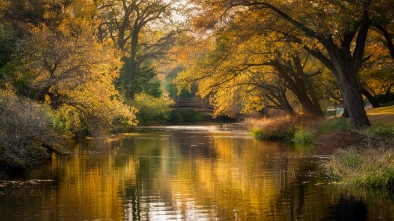 bennetts creek park