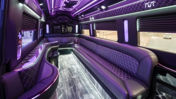 chesapeake sprinter limo rental interior