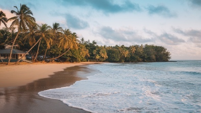 ocean view beach