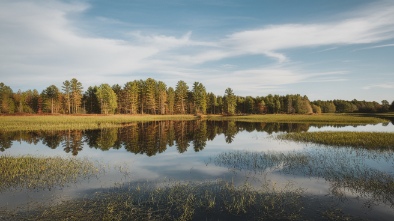 sandy bottom nature park